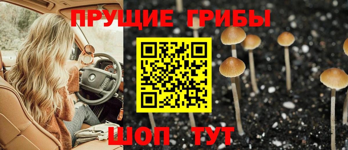 Губкин  Псилоцибиновые грибы мухоморы  Вход с VPN 