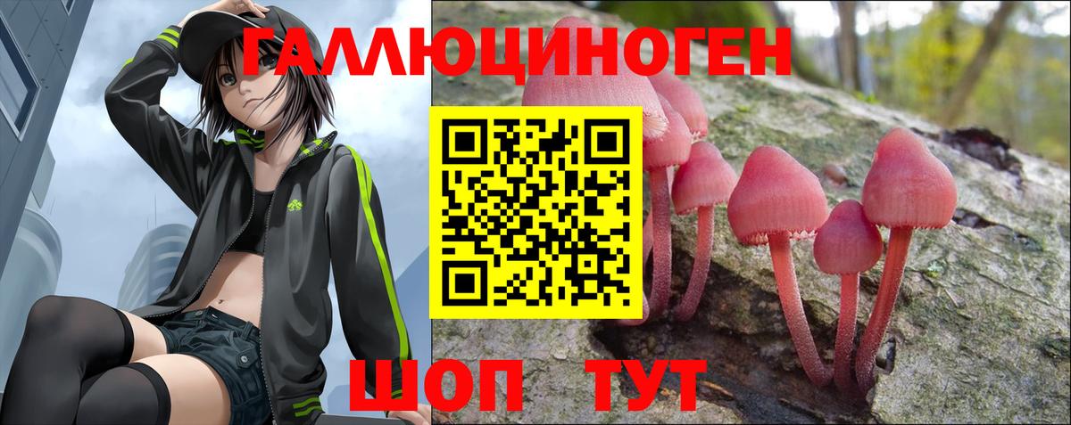 Галлюциногенные грибы MAGIC MUSHROOMS Губкин