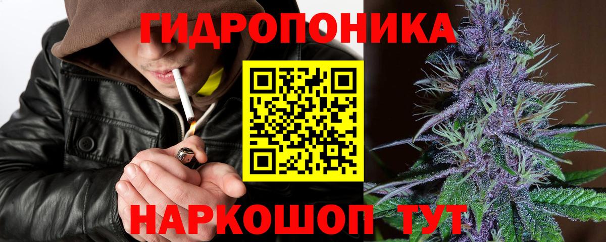 Канабис Amnesia  Вход с VPN  Бошки марихуана конопля  Конопля планчик  Губкин 